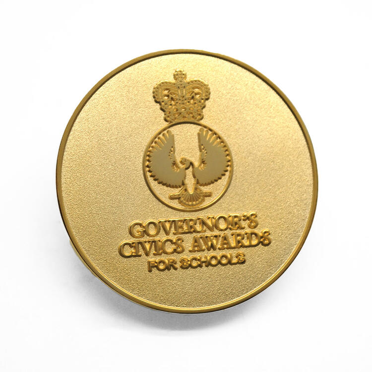 cm-government-of-sa-governors-civic-award-custom-1