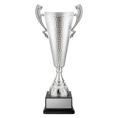 CUP291