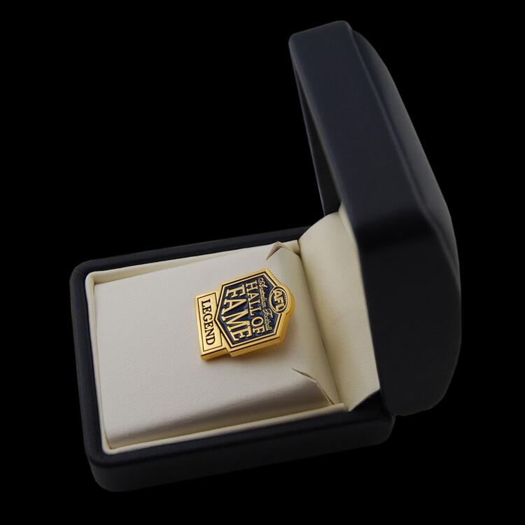 custom-metal-corporate-lapel-pin-afl