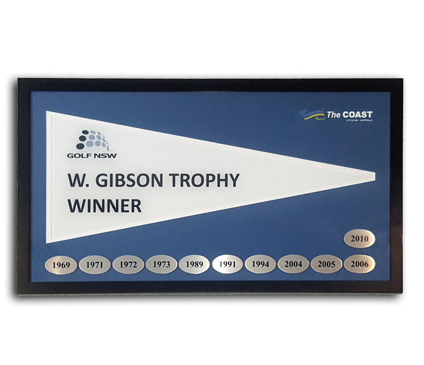 golf-pennant-frame-perpetual-golf-pennant-di-6