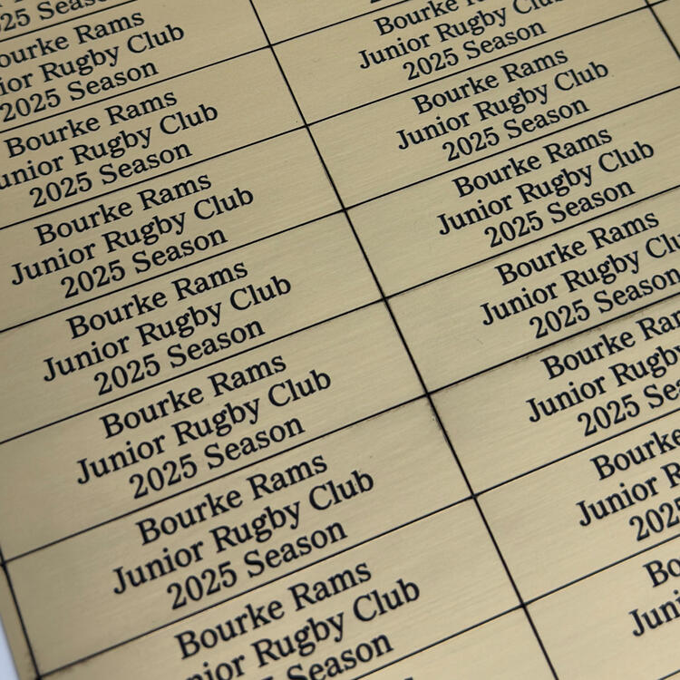 trophy-plate-gold-group-plates-2